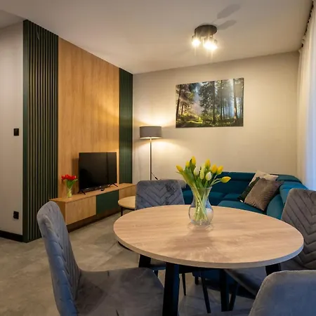 Ostoja Beskidy, Sun & Snow Apartament *